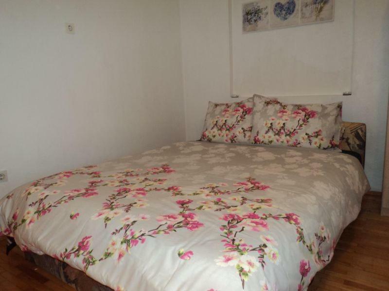 Studio Apartments Ana Ровінь Екстер'єр фото